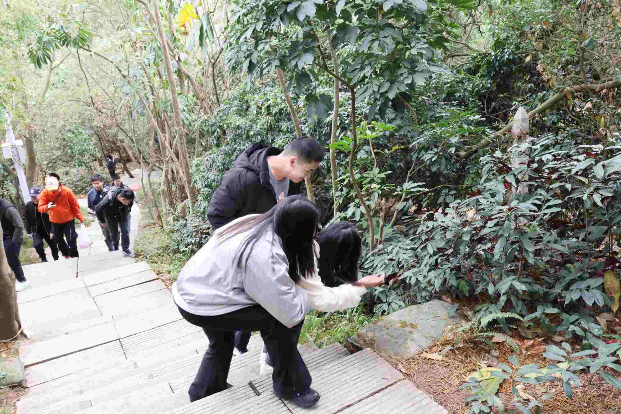 YIBOÒÚ²©µç¾º